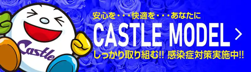 感染対策キャッスルモデル