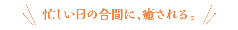 忙しい日の合間に、癒される。